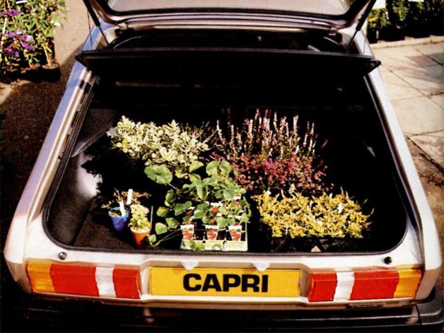  Ford Capri 1978 года  (UK) (фото 5 из 6)